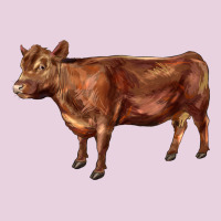 Red Angus Cow Ladies Tee | Teevron