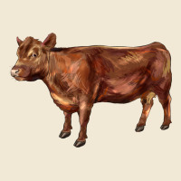 Red Angus Cow Ladies Tee | Teevron