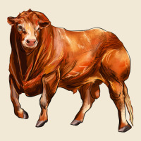Red Angus Bull Ladies Tee | Teevron