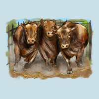 3 Red Angus Bulls Ladies Tee | Teevron