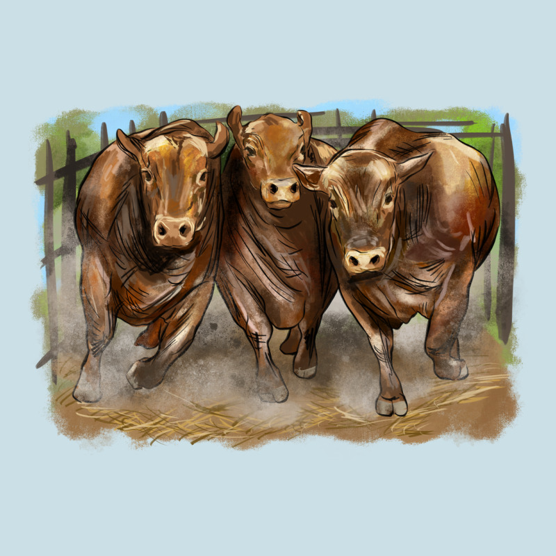 3 Red Angus Bulls Ladies Tee by LillyAllenDesigns | Teevron