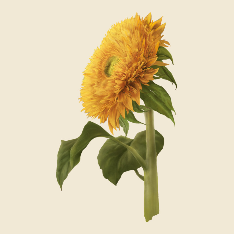 Teddy Bear Sunflower Ladies Tee by LillyAllenDesigns | Teevron