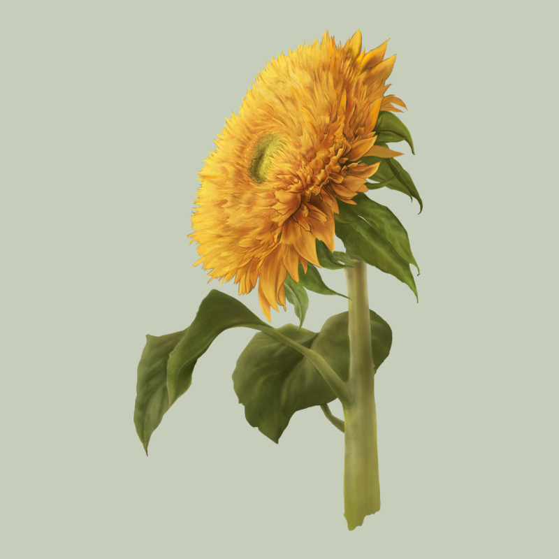 Teddy Bear Sunflower Ladies Tee by LillyAllenDesigns | Teevron