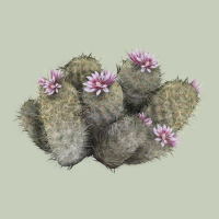 Cob Beehive Cactus Ladies Tee | Teevron