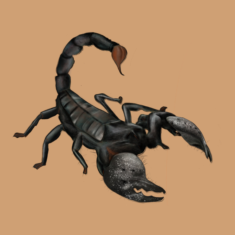 Scorpion Vintage Tee by JahusDesignShop | Teevron