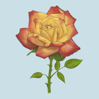 Rainbow's End Rose Ladies Tee | Teevron