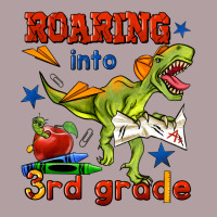 Roaring Into 3rd Grade Vintage Hoodie | Teevron