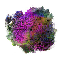 halloween spider web for patches | Teevron