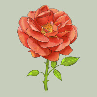 All A Twitter Rose Ladies Tee | Teevron