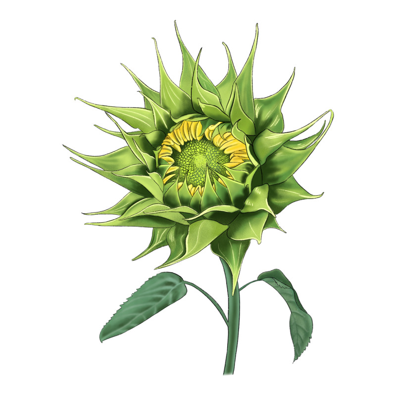 Sun Fill Green Green Sunflower Ladies Tee by LillyAllenDesigns | Teevron