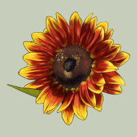 Ring O Fine Sunflower Ladies Tee | Teevron