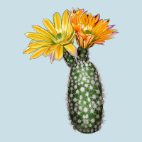 Texas Rainbow Cactus Ladies Tee | Teevron