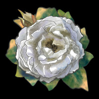 Pillow Fight Rose Ladies Tee | Teevron