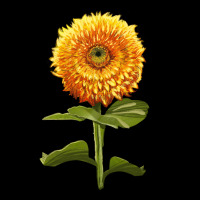 Gummy Bear Sunflower Ladies Tee | Teevron