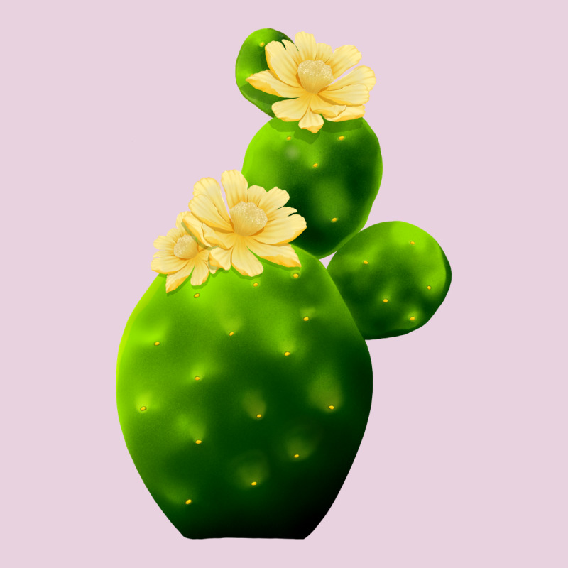 Texas Cactus Ladies Tee by LillyAllenDesigns | Teevron