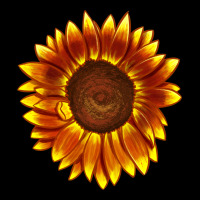 Tiger Eyes Sunflower Ladies Tee | Teevron