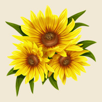 Maximillian Perennial Sunflower Ladies Tee | Teevron
