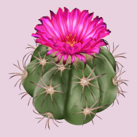 Eagle Claws Cactus Ladies Tee | Teevron
