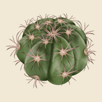 Eagle Claws Cactus Ladies Tee | Teevron