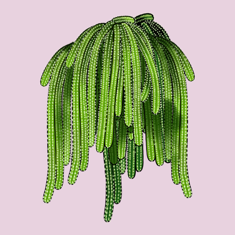Selenicereus Cactus Ladies Tee by LillyAllenDesigns | Teevron