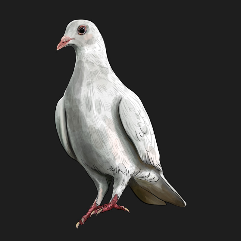 Dove Classic Tee by LillyAllenDesigns | Teevron