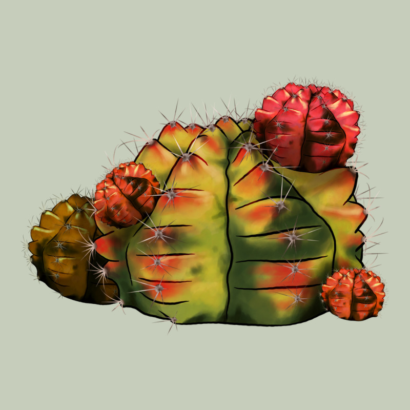 Gymnocalycium Variegated Cactus Ladies Tee by LillyAllenDesigns | Teevron