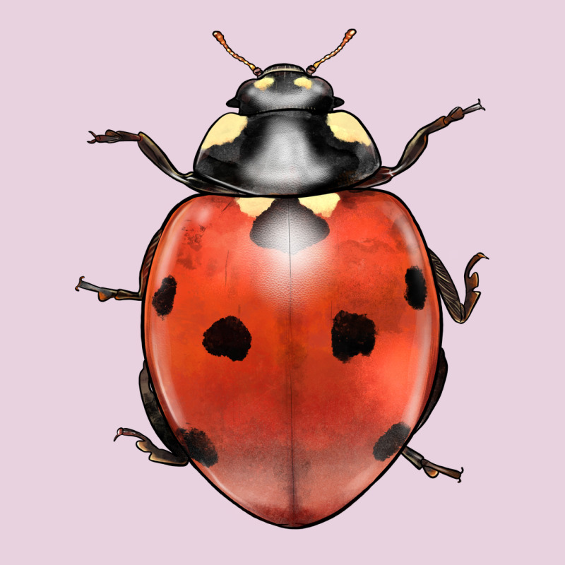 Lady Bug Ladies Tee by LillyAllenDesigns | Teevron
