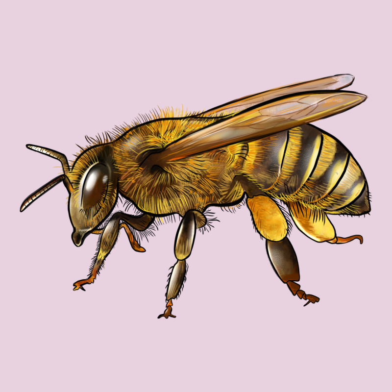 Bee Side Ladies Tee by LillyAllenDesigns | Teevron