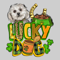 Lucky Dog St. Patrick's Premium Sweatshirt | Teevron
