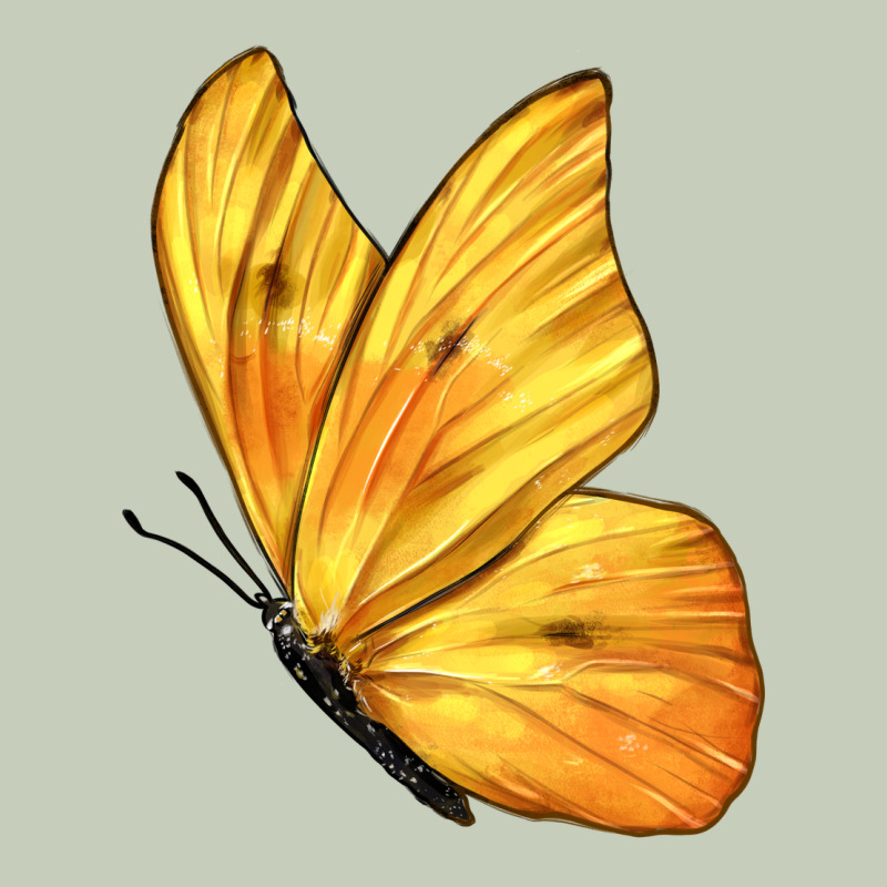 Flying Cloudless Sulphur Butterfly Ladies Tee by LillyAllenDesigns | Teevron