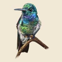 Ruby Throcuted Hummingbird Ladies Tee | Teevron