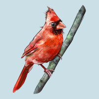 Northern Cardinal Bird Ladies Tee | Teevron