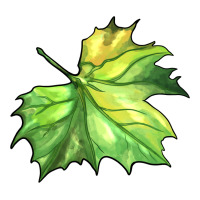 green leaf | Teevron