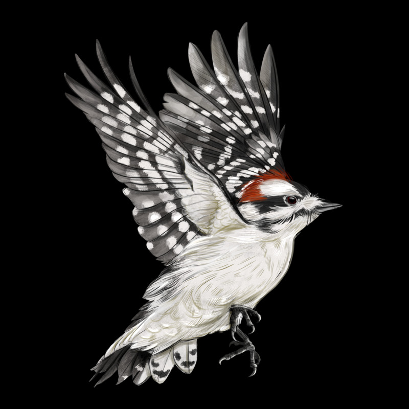 Flying Downy Woodpecker Ladies Tee by LillyAllenDesigns | Teevron