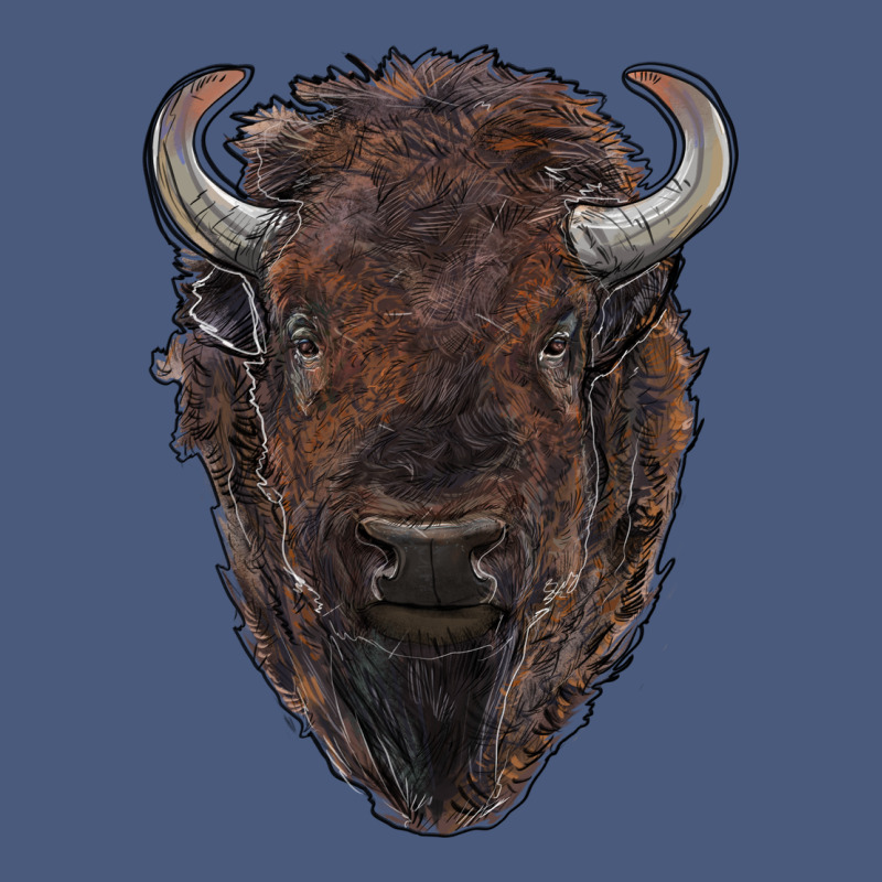 American Bison Vintage Hoodie by RanaPortraitStore | Teevron