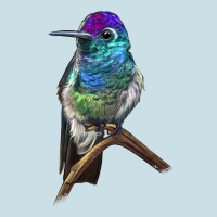 Rivoli`s Hummingbird Ladies Tee | Teevron
