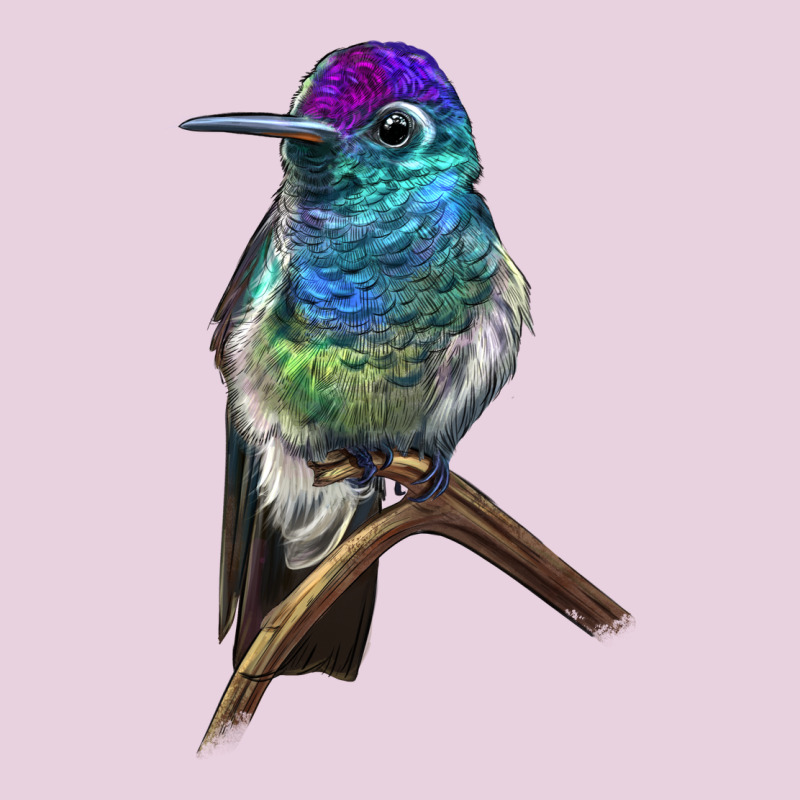 Rivoli`s Hummingbird Ladies Tee by LillyAllenDesigns | Teevron