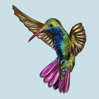 Broad Billed Hummingbird Ladies Tee | Teevron