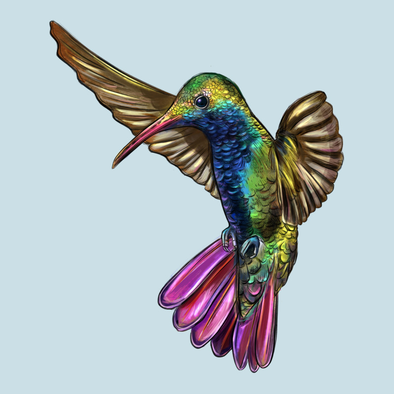 Broad Billed Hummingbird Ladies Tee by LillyAllenDesigns | Teevron