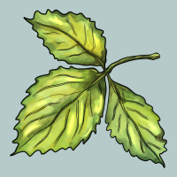Green Leaf Heavy Core Tee | Teevron