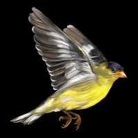 Flying American Goldfinch Ladies Tee | Teevron
