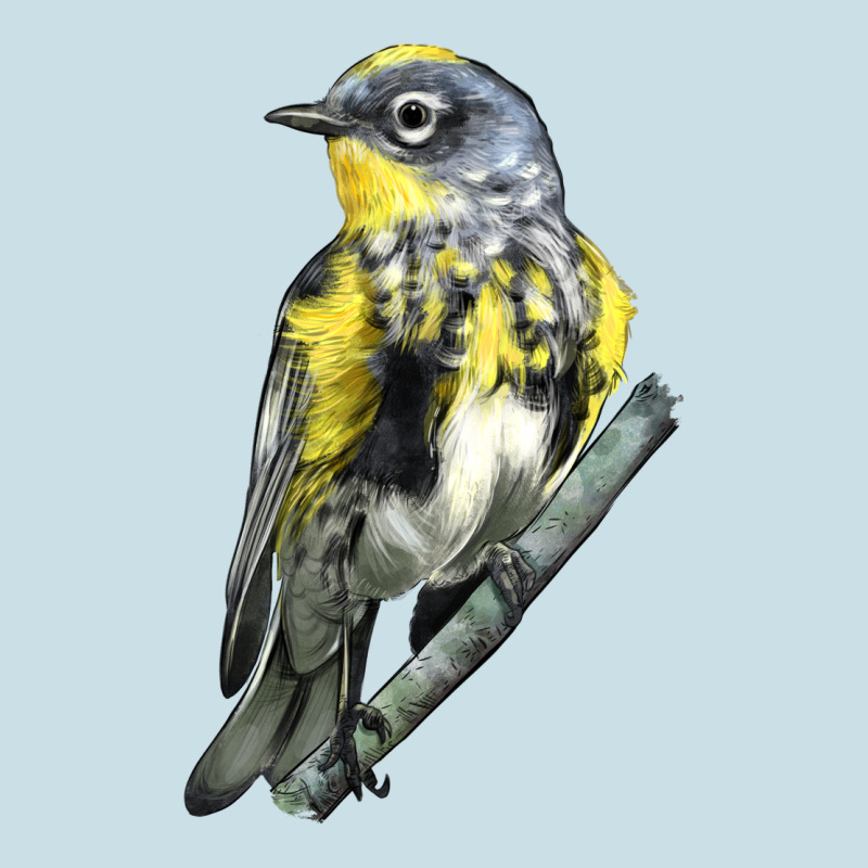 Yellow Rumped Warbler Ladies Tee by LillyAllenDesigns | Teevron