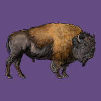 American Bison Body Vintage Hoodie | Teevron