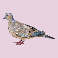American Dove Ladies Tee | Teevron