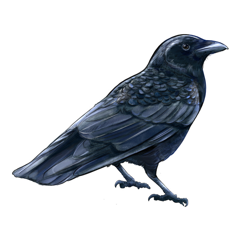 American Crow Ladies Tee by LillyAllenDesigns | Teevron
