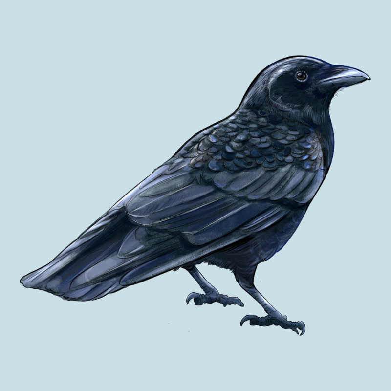 American Crow Ladies Tee by LillyAllenDesigns | Teevron