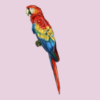 Scarlet Macaw Parrot Ladies Tee | Teevron