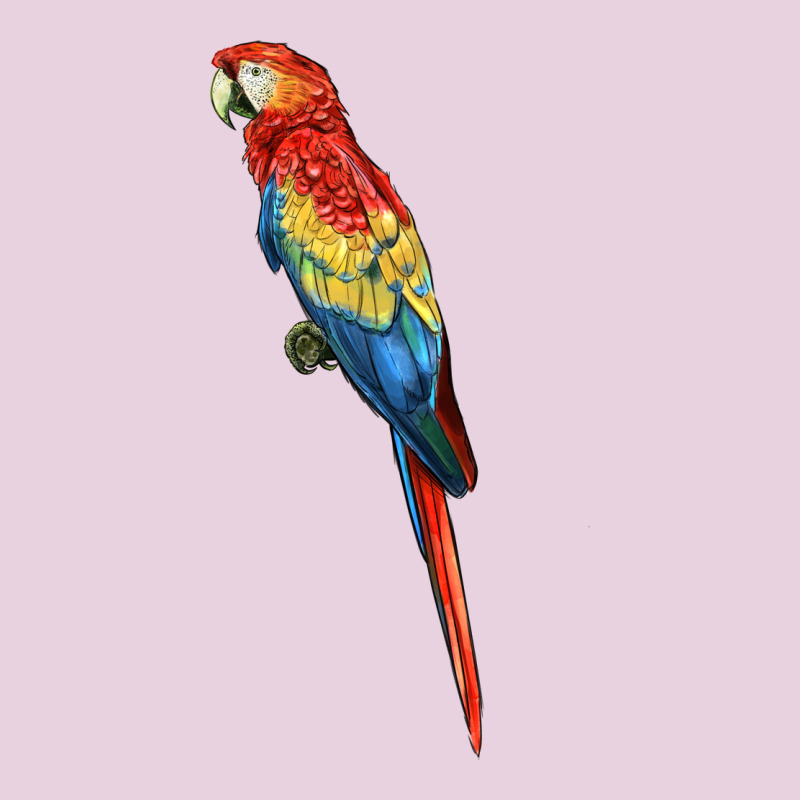 Scarlet Macaw Parrot Ladies Tee by LillyAllenDesigns | Teevron
