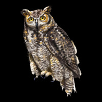 Great Horned Owl Ladies Tee | Teevron