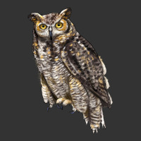 Great Horned Owl | Teevron